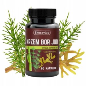 7ffb362670a014c98dd946a1860f63eb