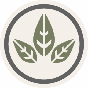 Yango Betaina HCL pepsyna enzymy trawienne 90 kaps