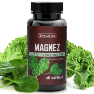 a972e06642bb24fc1683f74b788e00c3